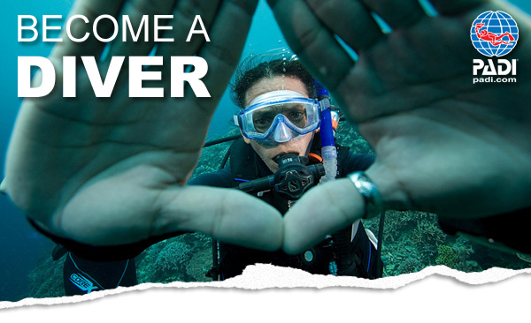 Become a Diver