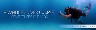 padi advance promo padi advance promo